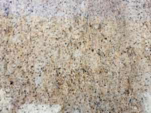 Kashmir Gold Close Up.jpg